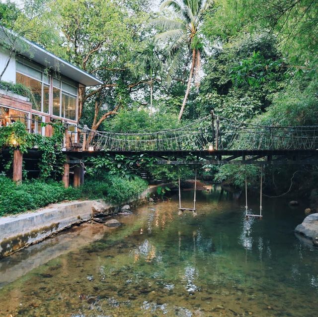 บ้านต้นไม้กลางป่าริมลำธาร บ้านในหมง treehouse 