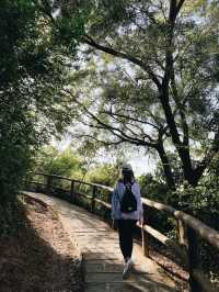 觀賞青馬大橋的行山之旅
