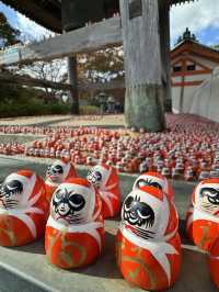 It’a red world 🇯🇵🇯🇵 Katsuoji Temple !!