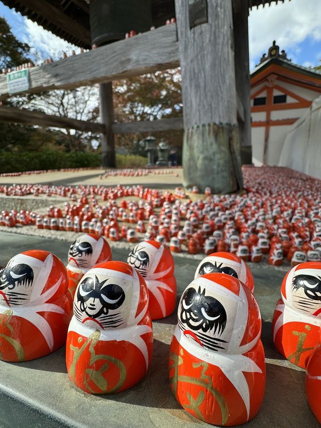 It’a red world 🇯🇵🇯🇵 Katsuoji Temple !!