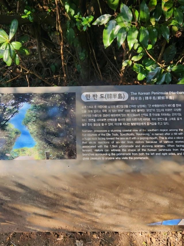 제주여행 남쪽코스 울창한 숲과 바다 가볍게 산책하기좋은 "큰엉해안경승지"