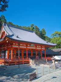 【大阪】ご利益あること間違いなし‼️勝利祈願のダルマだらけの寺院を紹介🔍
