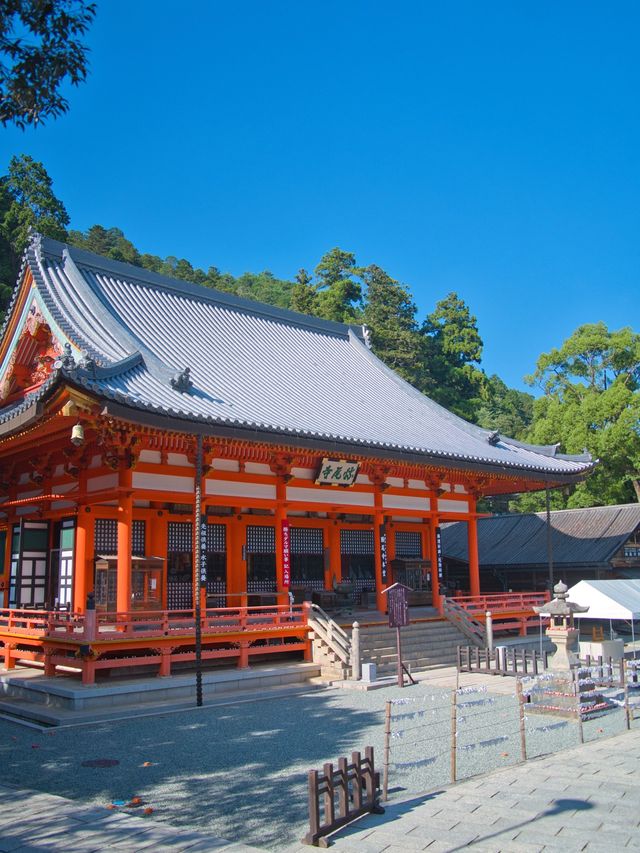 【大阪】ご利益あること間違いなし‼️勝利祈願のダルマだらけの寺院を紹介🔍