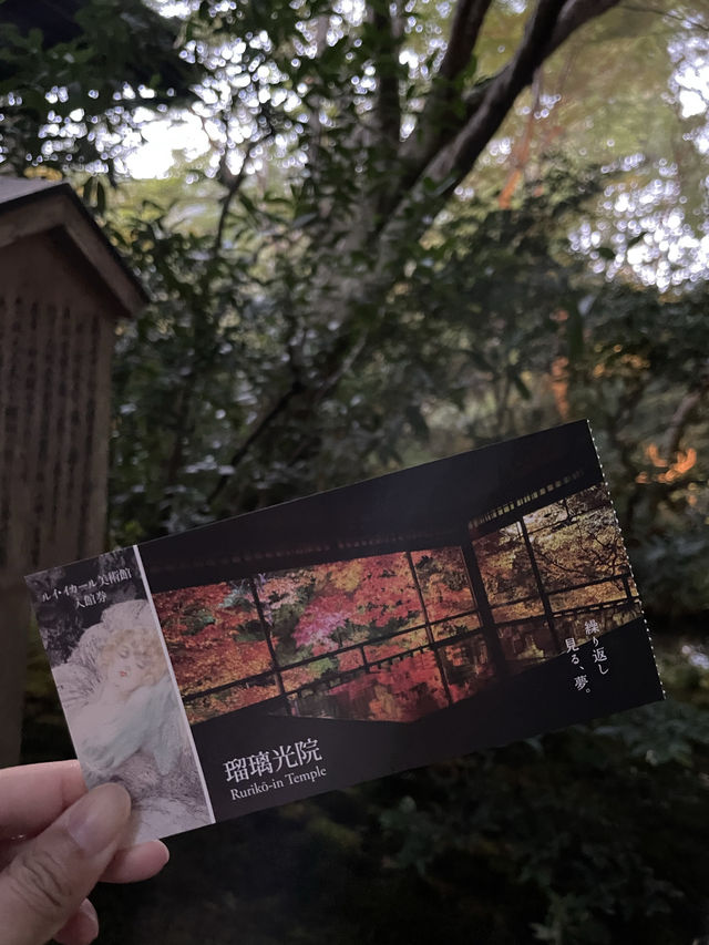 【京都府】2023年行って良かった　リフレクションが美しい瑠璃光院