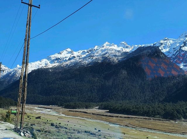 Zero Point & Yumthang Valley