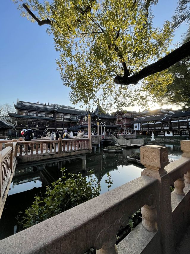 Yuyuan Garden （豫园）สวนสวยกลางเมืองเซี่ยงไฮ้