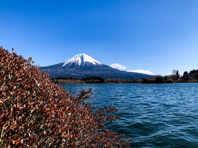 จุดชมวิวทะเลสาบทะนุกิ (Tanuki Lake)