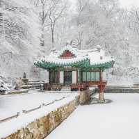 The Beauty of Changdeokgung palace in Winter 