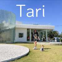 Tari