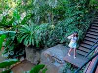 Three Monkeys Café & Restaurant Phuket