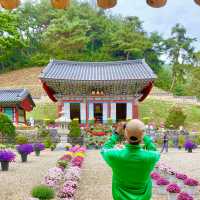 통일신라때 세워진 보석 같은 금산의 절 -  보석사