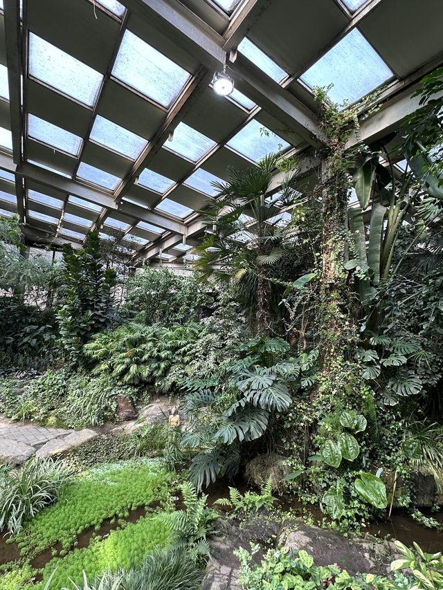커다란 온실 정원에서 자연을 바라보며 🌴 실내 산책 데이트를 할 수 있는 양주 오랑주리 🌺