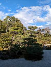 仁和寺の庭や池を眺めるていると、神社とは、また違う…寺院独特の荘厳な美しさを感じる