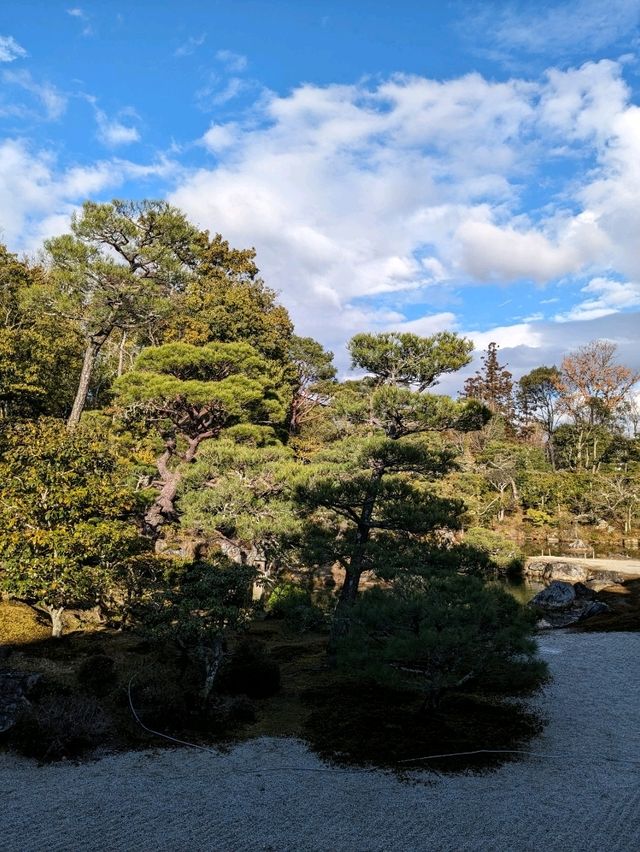 仁和寺の庭や池を眺めるていると、神社とは、また違う…寺院独特の荘厳な美しさを感じる