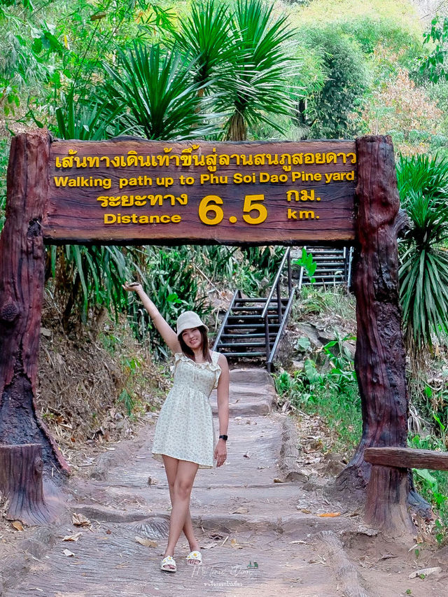 หนีร้อนเที่ยว น้ำตกภูสอยดาว 