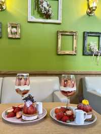 【福岡カフェ】店内にある見上げるぐらい大きなベンジャミンの木が印象的なカフェ