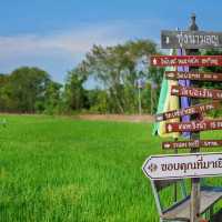 ทุ่งนามอญบ้านบ่อทอง