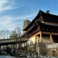 到杭州旅游 一看西湖，二看灵隐