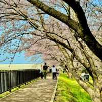 石垣池公園