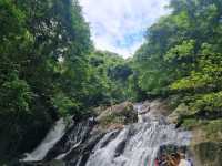 เขตรักษาพันธุ์สัตว์ป่า โตนงาช้าง