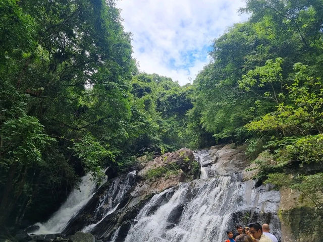 เขตรักษาพันธุ์สัตว์ป่า โตนงาช้าง