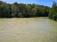 Kukup Island Johor National Park