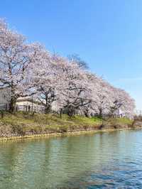 【富山】日本でここだけの体験ができるクルーズ