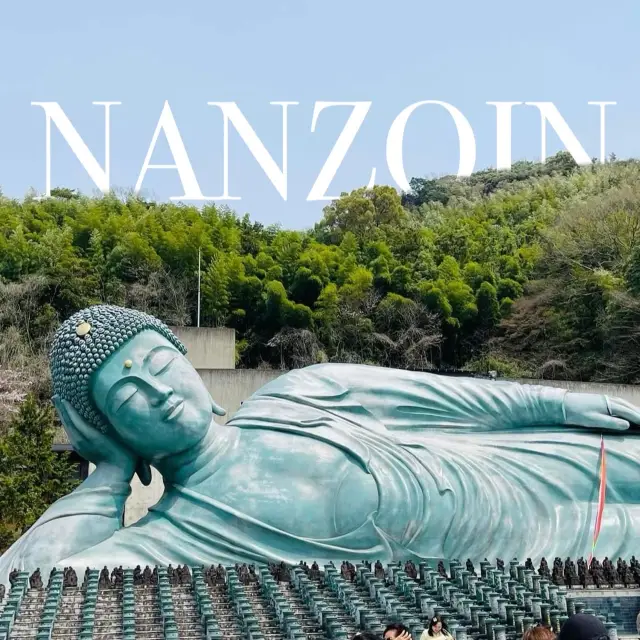 南藏院櫻花盛開