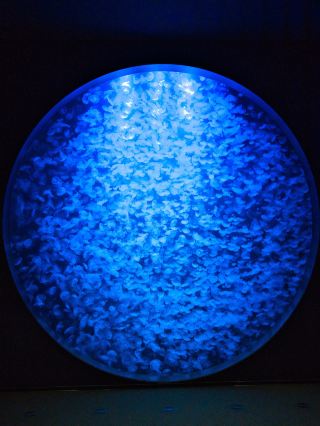 [ยามากาตะ] สัมผัสความผ่อนคลายจากการชมแมงกะพรุนพลิ้วไหวในพื้นที่เย็นสบาย ✨ ขอแนะนำพิพิธภัณฑ์สัตว์น้ำที่คุณควรไปเยี่ยมชมอย่างน้อยหนึ่งครั้งในชีวิต 🔍