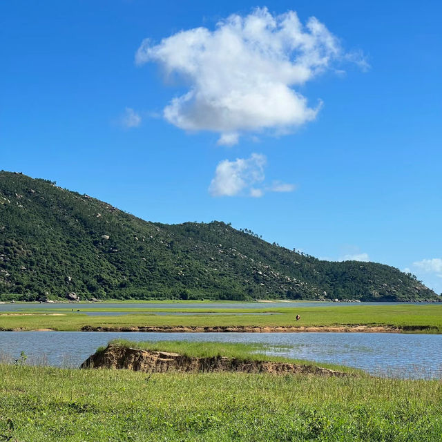 新加坡勿洛水庫公園：湖泊綠洲，適合身心放鬆