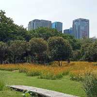 武吉巴督自然公園～城市綠洲