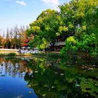 翠湖公園-綠寶石