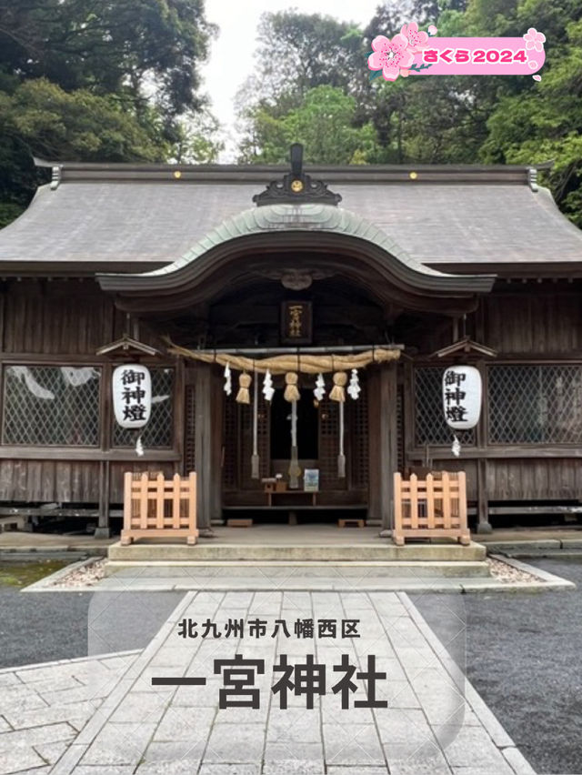 【北九州神社】看板猫に会えるかも？古代から続く神社