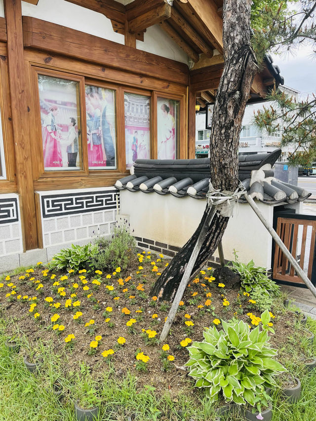 수원 산책하기 좋은 복합공간