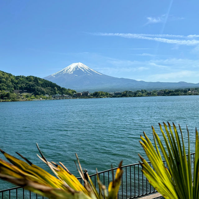 Basking in the Glory of Mount Fuji: A Perfect Day Under the Sun