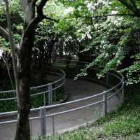 「蔡厝港公園：綠意盎然的自然綠洲，感受大自然的放鬆」