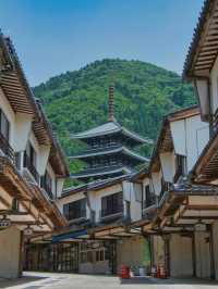 【福井】全てが企画外‼️息を呑むほど壮大かつ荘厳な寺院を紹介🔍