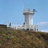 足摺岬：絕美海岬風景區，適合春天旅遊