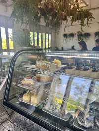 Woodberry home kitchen 🌸🌤️☕️🍃