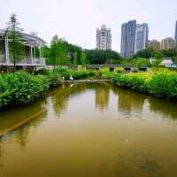 洪湖公園