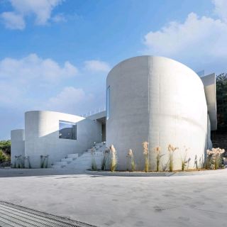 Аромат цветка одуванчика