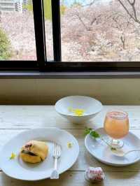 【福岡カフェ】春には窓から桜が見えるまったりカフェ