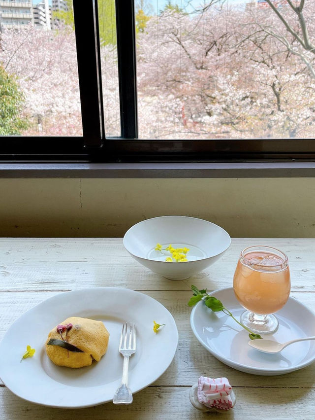 【福岡カフェ】春には窓から桜が見えるまったりカフェ