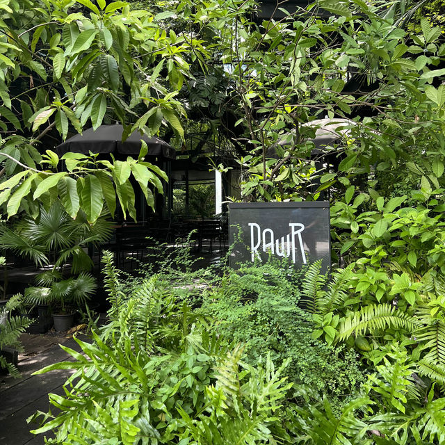 森の中にいるようなカフェ🌿