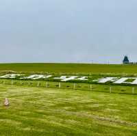 Echoes of Peace and Remembrance