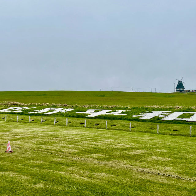 Echoes of Peace and Remembrance