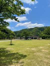 兵庫　丹波篠山のキャンプスポット🏕️