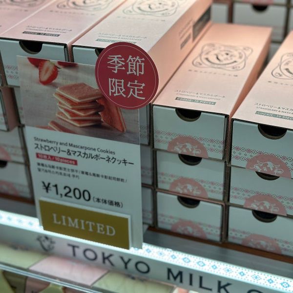 후쿠오카 공항 면세점 반드시 맛 보아야 할 간식 벚꽃 한정판🌸