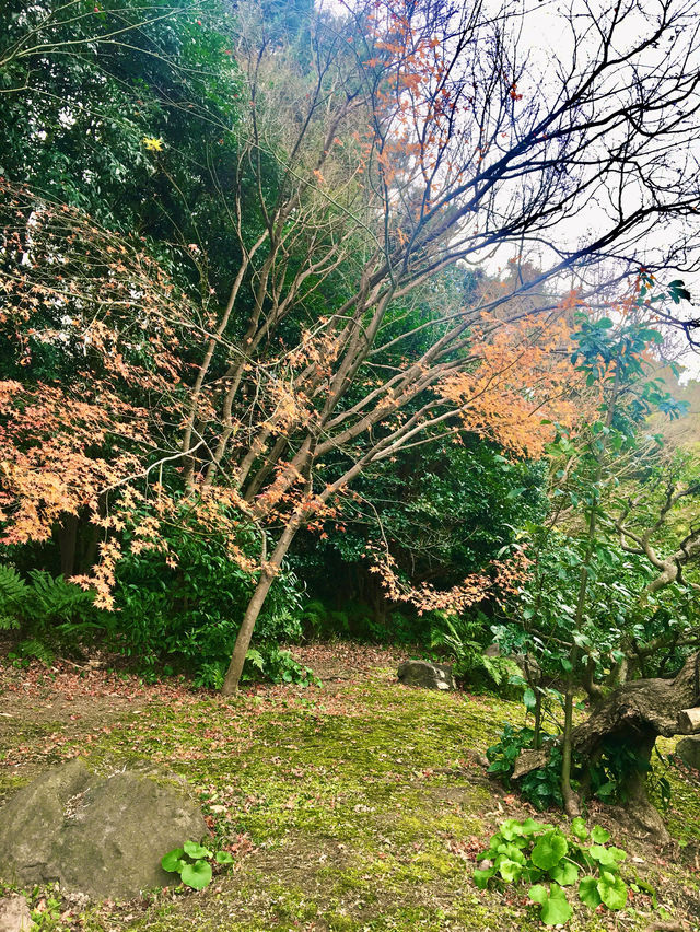 【日本四國】栗林公園：完美融合江戶時期園林設計的精髓