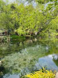 🇨🇳 Serene Escape to 束河古镇 (Shuhe Ancient Town), Lijiang